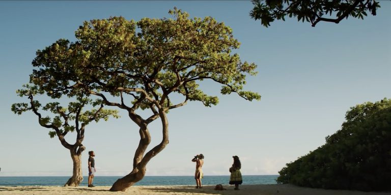 Introducing Envoy by Four Seasons