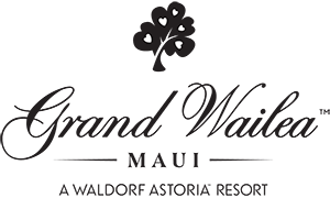 Hawaii Wedding Videography at the Grand Wailea