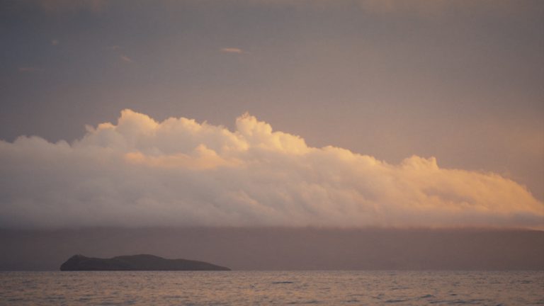 Jenni & Bill’s Wedding Webcast