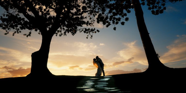 Haley & Christopher’s Downloads