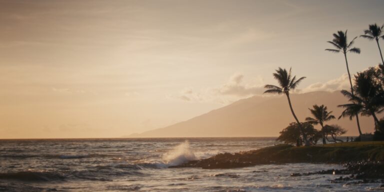 Heather & Randy’s Downloads